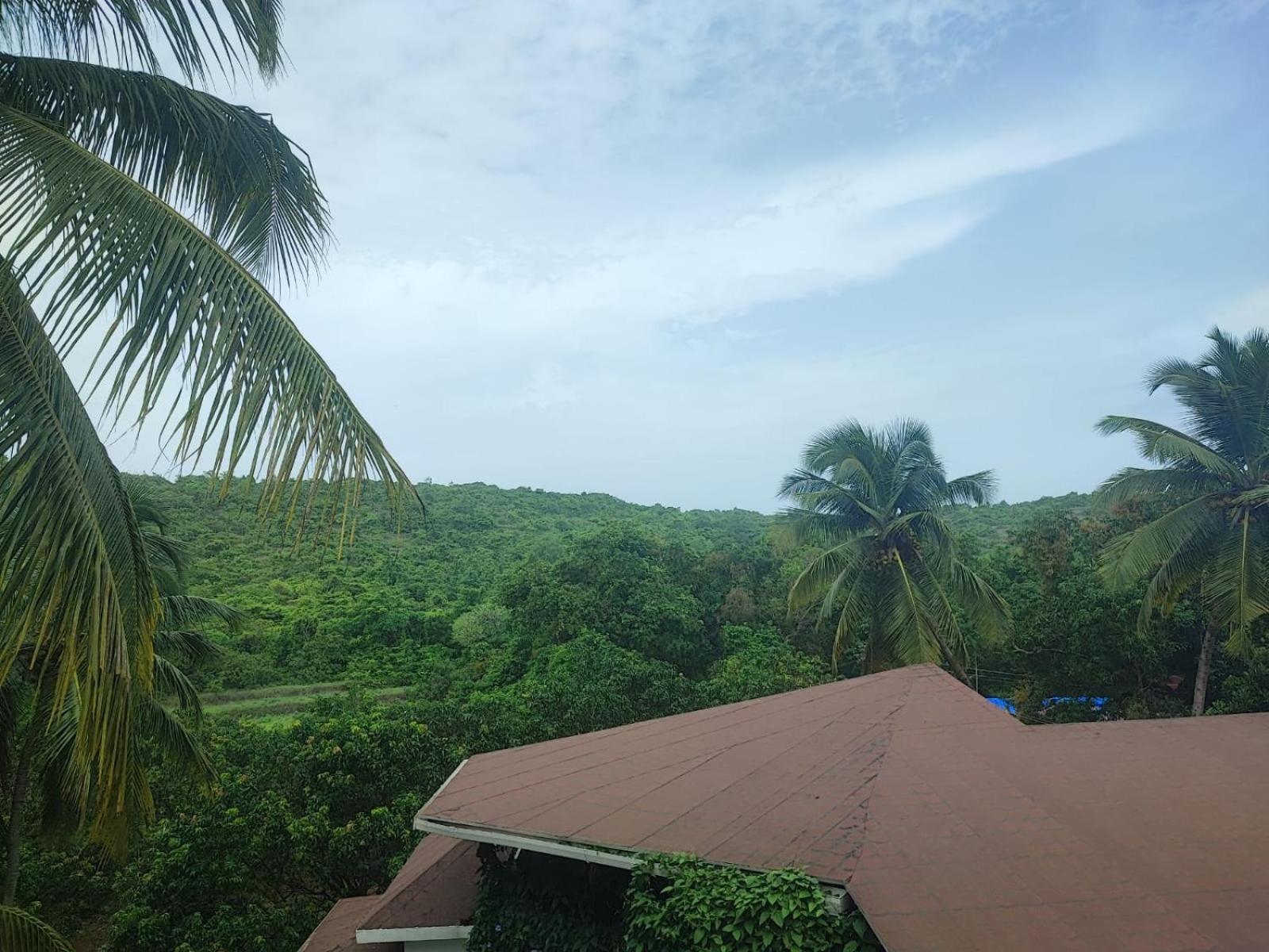 The Verda De Miranda Resort Morjim North Goa Exterior photo