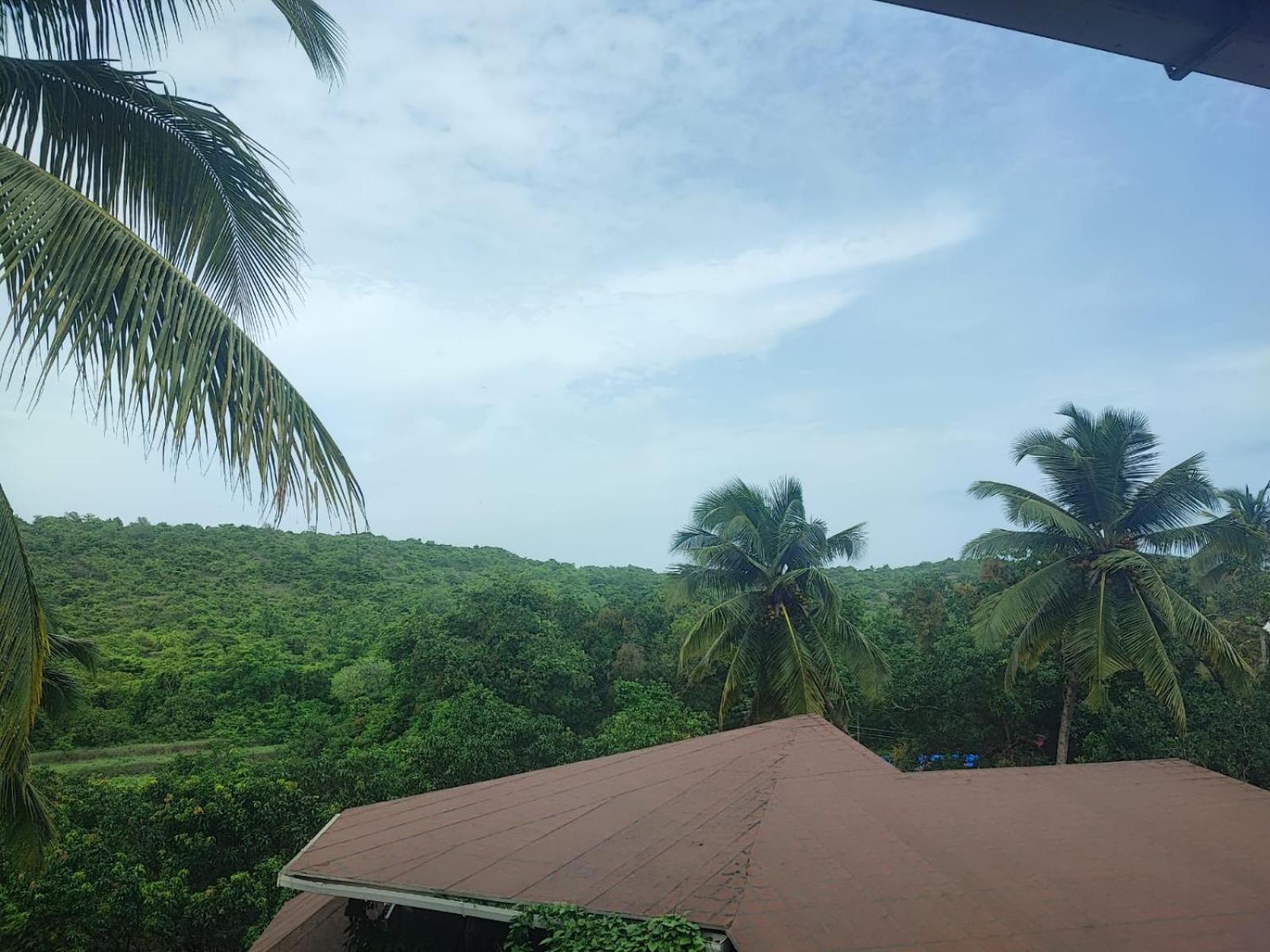 The Verda De Miranda Resort Morjim North Goa Exterior photo